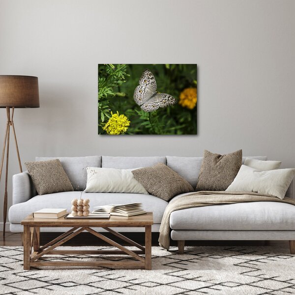 Slika - bijeli leptir (70x50 cm)