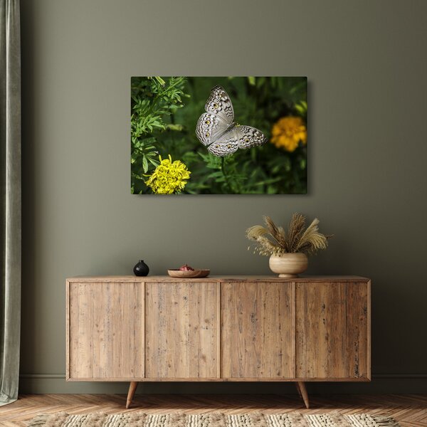 Slika - bijeli leptir (90x60 cm)