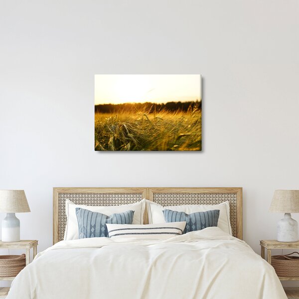 Slika rosne trave (70x50 cm)
