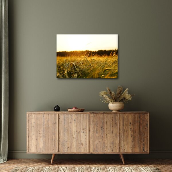 Slika rosne trave (70x50 cm)