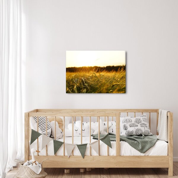 Slika rosne trave (70x50 cm)