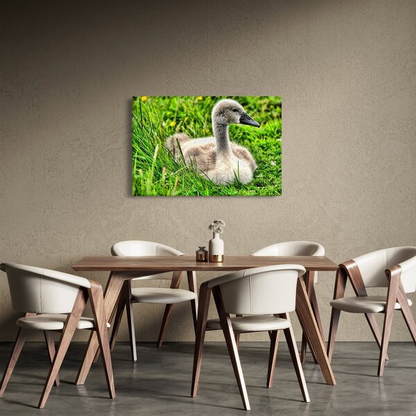 Slika - mali labud u travi (90x60 cm)