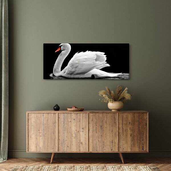 Slika crno-bijelog labuda (120x50 cm)