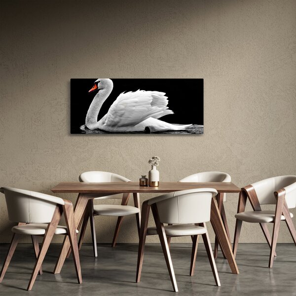 Slika crno-bijelog labuda (120x50 cm)