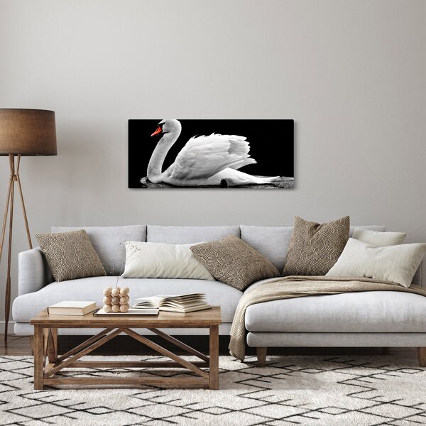 Slika crno-bijelog labuda (120x50 cm)