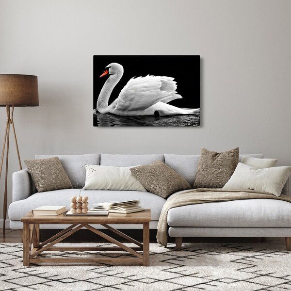 Slika crno-bijelog labuda (90x60 cm)