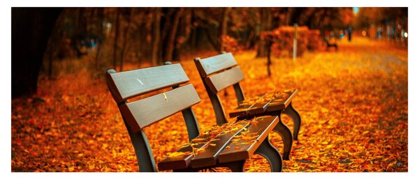 Slika klupe u jesen (120x50 cm)
