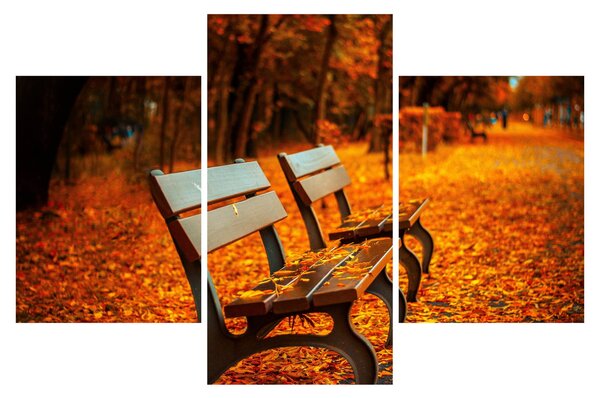 Slika klupe u jesen (90x60 cm)