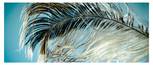 Slika pera (120x50 cm)
