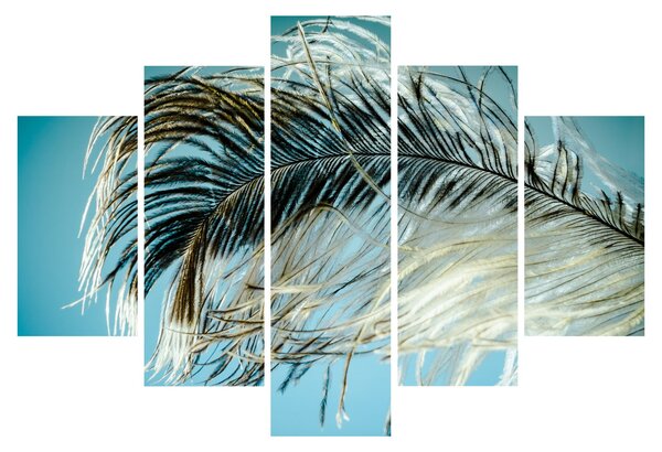 Slika pera (150x105 cm)