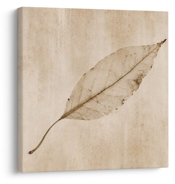 Slika minimalistički list u sepia stilu