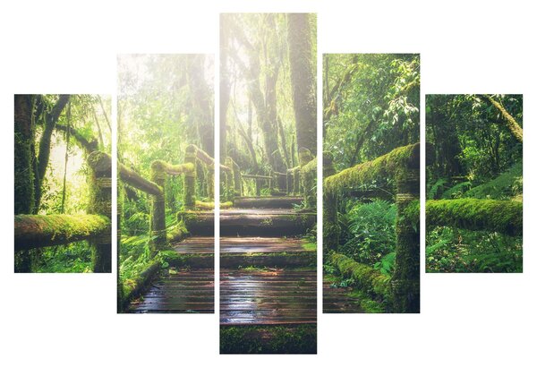 Slika - drvene stepenice u šumi (150x105 cm)