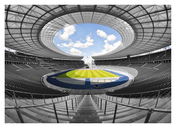 Slika - nogometni stadion (70x50 cm)
