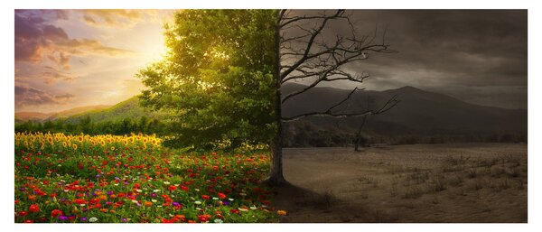 Slika - Životni ciklus (120x50 cm)