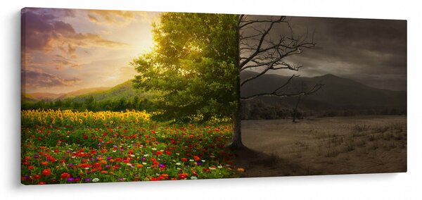 Slika - Životni ciklus (120x50 cm)