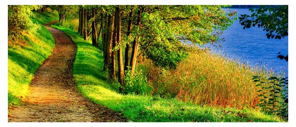 Slika staze uz vodu (120x50 cm)