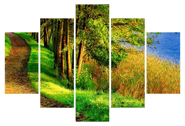 Slika staze uz vodu (150x105 cm)