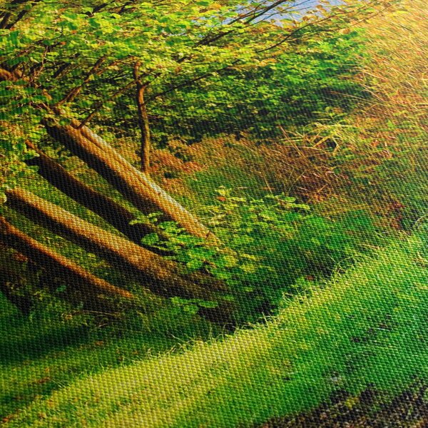 Slika staze uz vodu (90x60 cm)