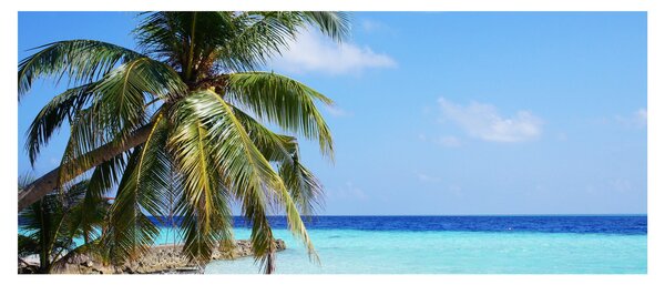 Slika palme na plaži (120x50 cm)