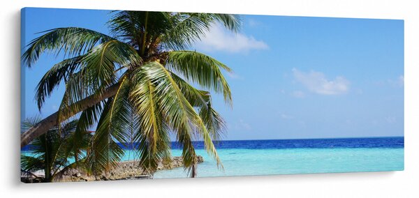 Slika palme na plaži (120x50 cm)