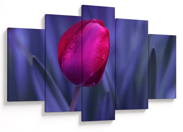 Slika pupoljka tulipana (150x105 cm)