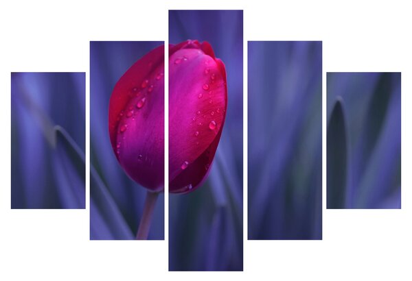 Slika pupoljka tulipana (150x105 cm)