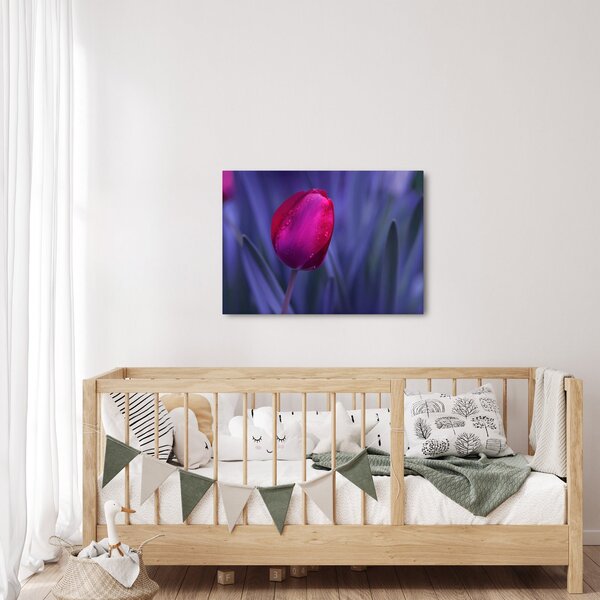 Slika pupoljka tulipana (70x50 cm)
