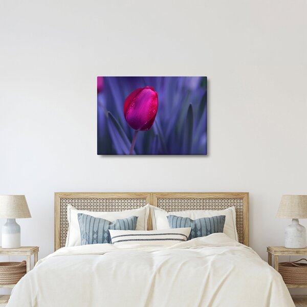 Slika pupoljka tulipana (70x50 cm)
