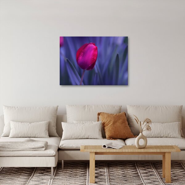 Slika pupoljka tulipana (70x50 cm)