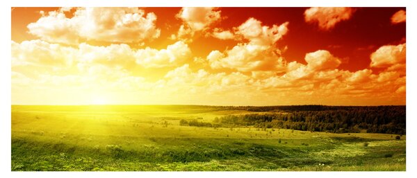 Slika ljetne livade (120x50 cm)