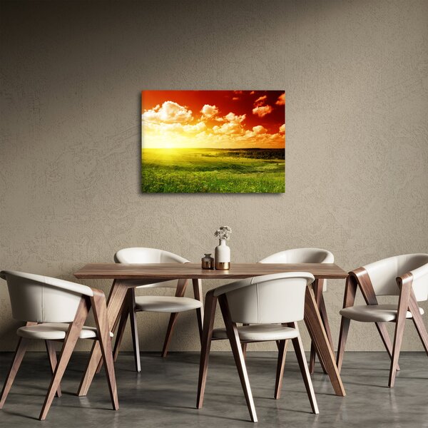 Slika ljetne livade (70x50 cm)