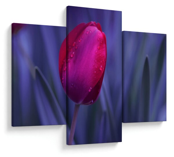 Slika pupoljka tulipana (90x60 cm)