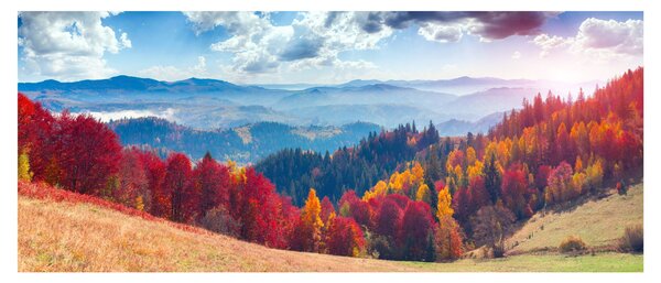 Slika šarenog jesenjeg krajolika (120x50 cm)