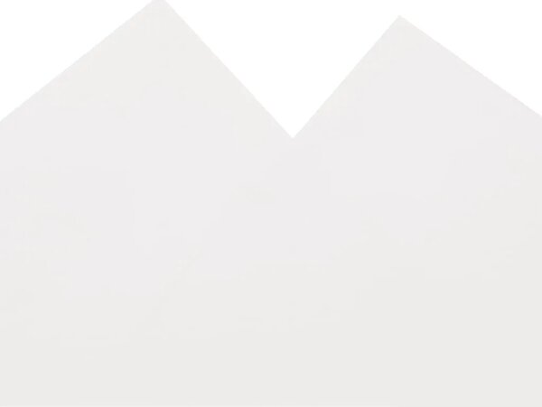 Cerada bijela 5 x 5 m 650 g/m² - Bijela 5 x 5 m bez rupica