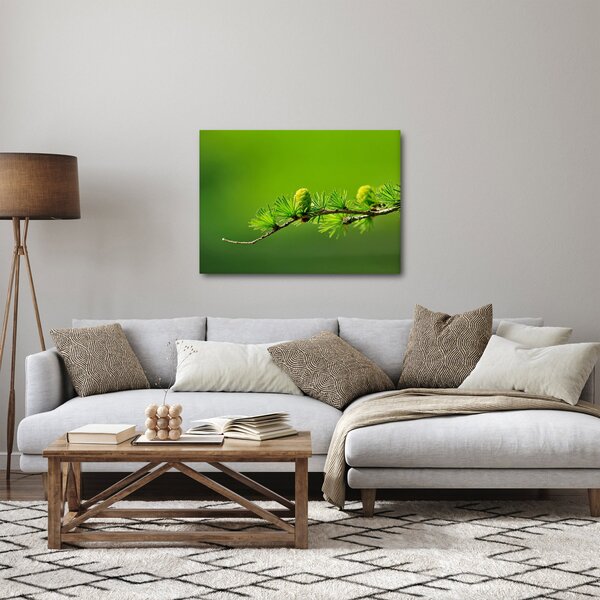 Slika zelenog češera (70x50 cm)