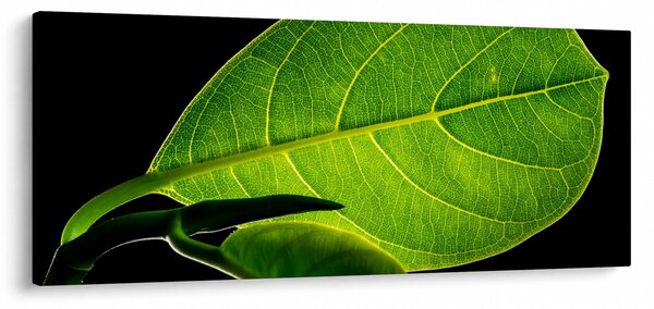 Slika - zeleni list (120x50 cm)
