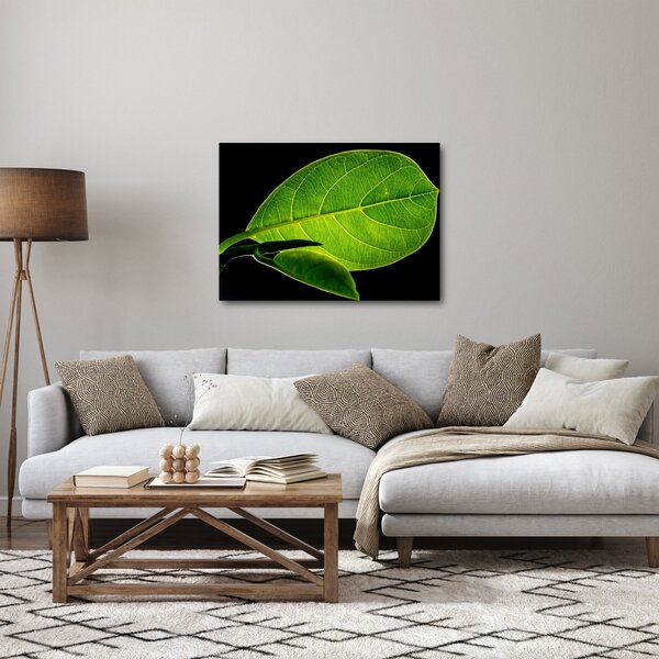 Slika - zeleni list (70x50 cm)