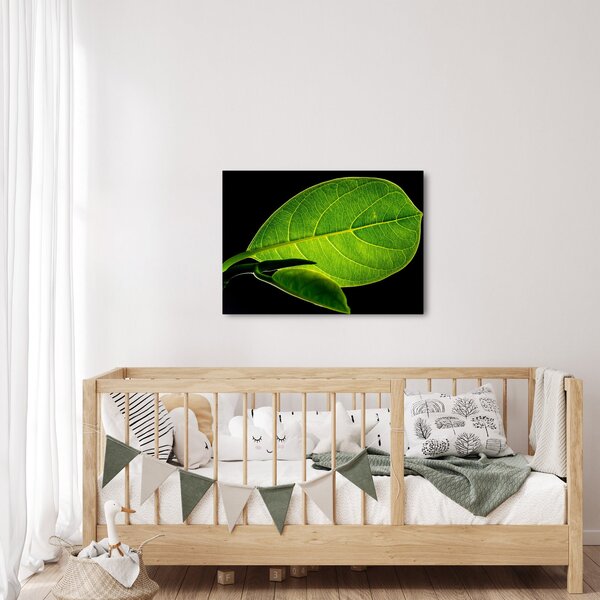 Slika - zeleni list (70x50 cm)