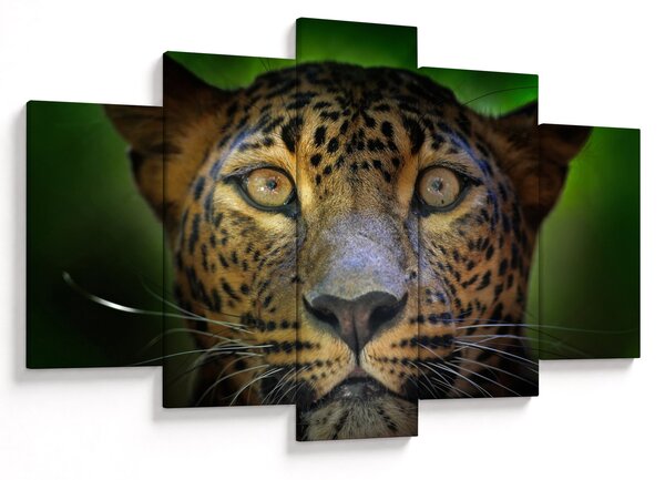 Slika - Portret leoparda, Šri Lanka (150x105 cm)