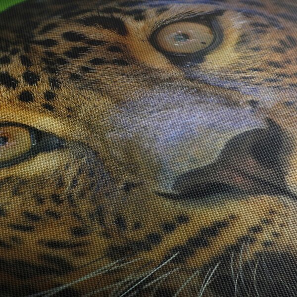 Slika - Portret leoparda, Šri Lanka (70x50 cm)
