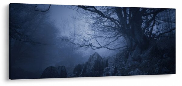 Slika tamne šume (120x50 cm)