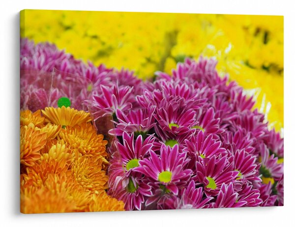 Slika ružičastog cvijeta (70x50 cm)