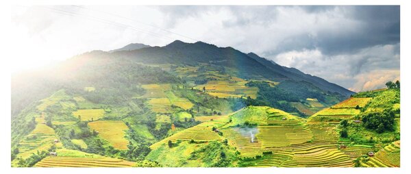 Slika plantaže (120x50 cm)