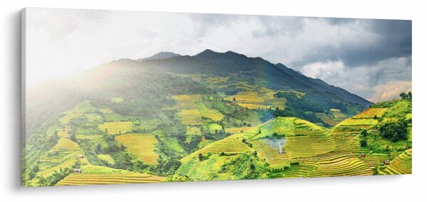 Slika plantaže (120x50 cm)