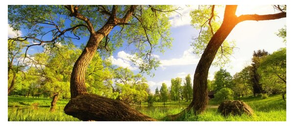 Slika proljetne livade (120x50 cm)
