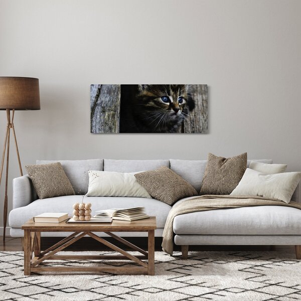 Slika mačića (120x50 cm)
