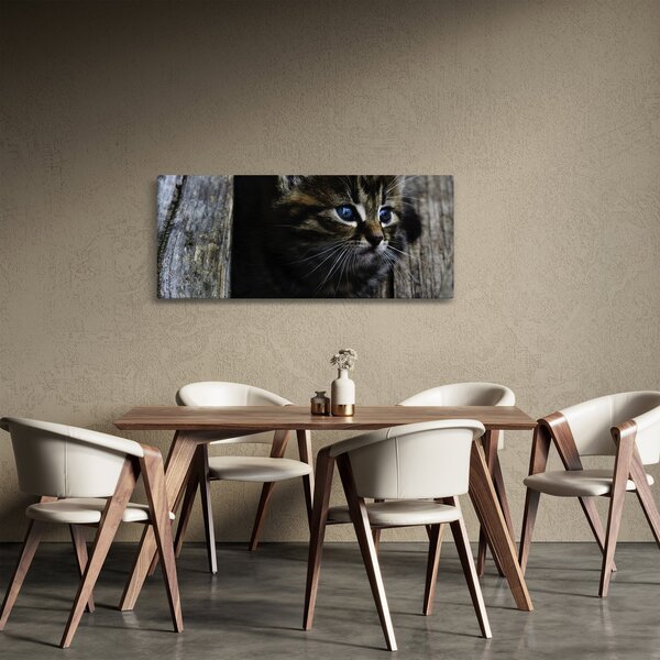 Slika mačića (120x50 cm)