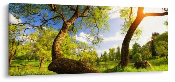 Slika proljetne livade (120x50 cm)