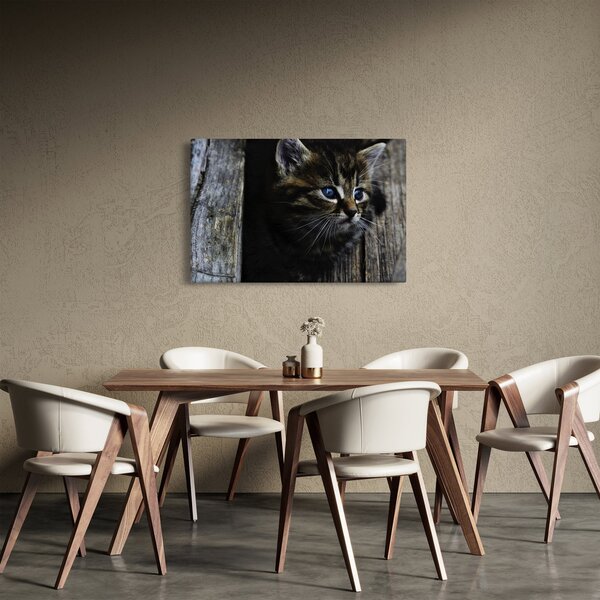 Slika mačića (90x60 cm)