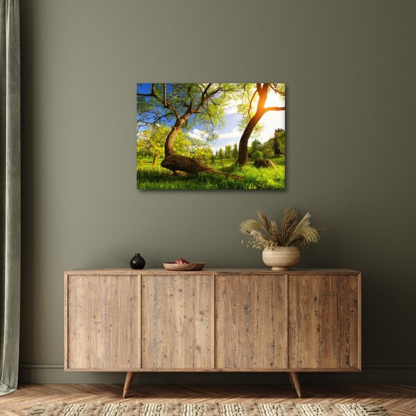 Slika proljetne livade (70x50 cm)